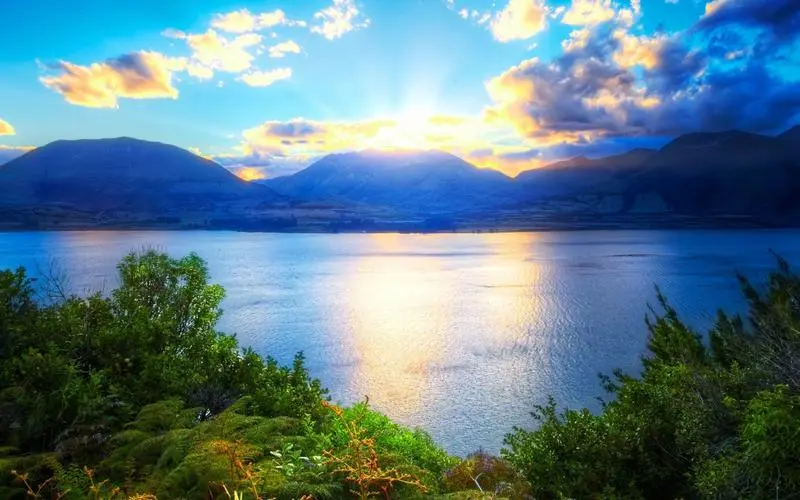创新网络化